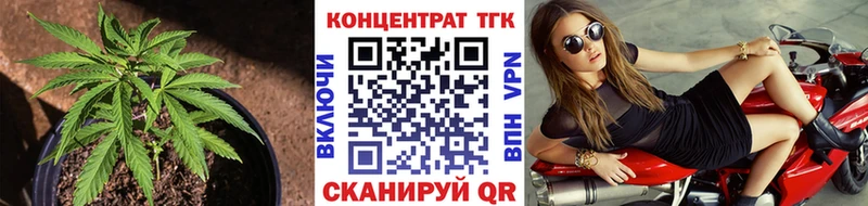 где найти   Сургут  blacksprut зеркало  Дистиллят ТГК THC oil 