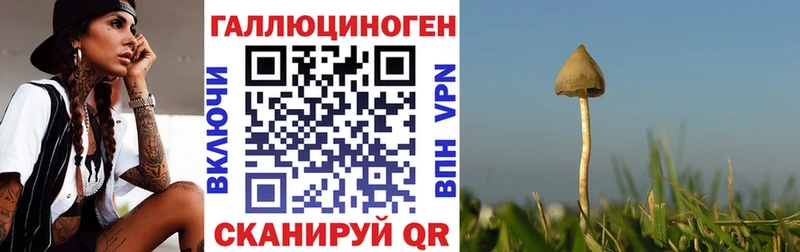 hydra как зайти  Сургут  Галлюциногенные грибы GOLDEN TEACHER 